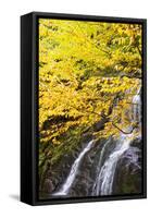 USA, Vermont, Fall foliage in Mad River Valley along trail to Warren Falls-Alison Jones-Framed Stretched Canvas