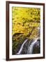 USA, Vermont, Fall foliage in Mad River Valley along trail to Warren Falls-Alison Jones-Framed Photographic Print