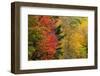 USA, Vermont, Fall foliage in Mad River Valley along trail to Warren Falls-Alison Jones-Framed Photographic Print