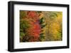 USA, Vermont, Fall foliage in Mad River Valley along trail to Warren Falls-Alison Jones-Framed Photographic Print