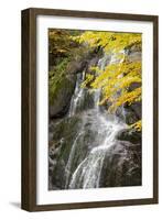 USA, Vermont, Fall foliage in Mad River Valley along trail to Warren Falls-Alison Jones-Framed Photographic Print