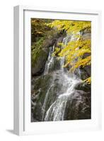 USA, Vermont, Fall foliage in Mad River Valley along trail to Warren Falls-Alison Jones-Framed Photographic Print