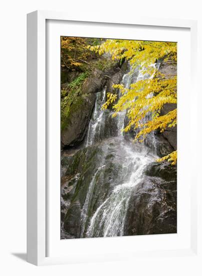 USA, Vermont, Fall foliage in Mad River Valley along trail to Warren Falls-Alison Jones-Framed Photographic Print