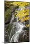 USA, Vermont, Fall foliage in Mad River Valley along trail to Warren Falls-Alison Jones-Mounted Photographic Print