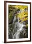 USA, Vermont, Fall foliage in Mad River Valley along trail to Warren Falls-Alison Jones-Framed Photographic Print