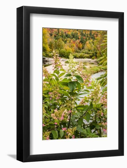 USA, Vermont, Fall foliage in Mad River Valley, Waitsfield-Alison Jones-Framed Photographic Print