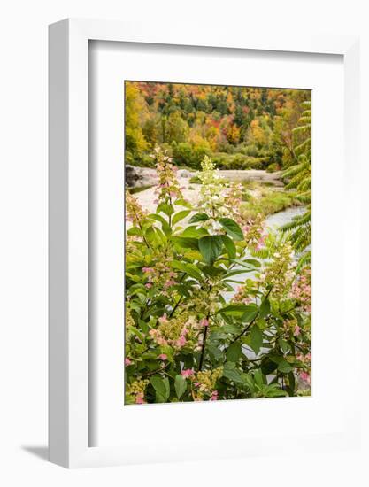 USA, Vermont, Fall foliage in Mad River Valley, Waitsfield-Alison Jones-Framed Photographic Print