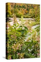 USA, Vermont, Fall foliage in Mad River Valley, Waitsfield-Alison Jones-Stretched Canvas