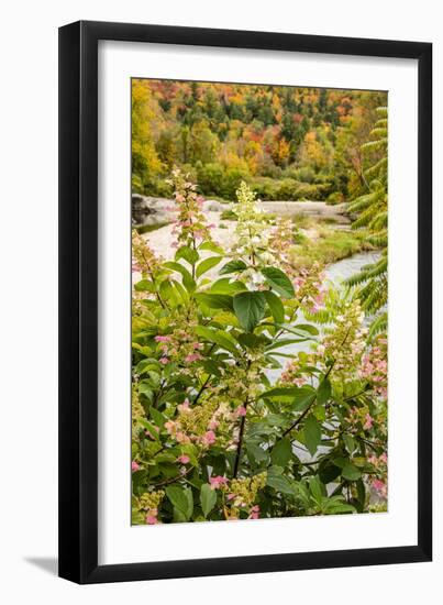 USA, Vermont, Fall foliage in Mad River Valley, Waitsfield-Alison Jones-Framed Photographic Print