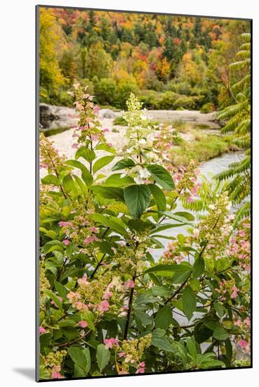 USA, Vermont, Fall foliage in Mad River Valley, Waitsfield-Alison Jones-Mounted Photographic Print