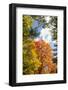 USA, Vermont, Fall foliage in Morrisville on Jopson Lane-Alison Jones-Framed Photographic Print