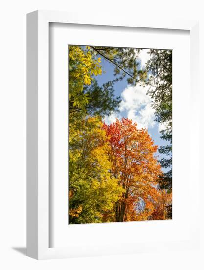 USA, Vermont, Fall foliage in Morrisville on Jopson Lane-Alison Jones-Framed Photographic Print