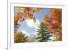 USA, Vermont, Fall foliage in Morrisville on Jopson Lane-Alison Jones-Framed Photographic Print