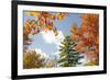 USA, Vermont, Fall foliage in Morrisville on Jopson Lane-Alison Jones-Framed Photographic Print