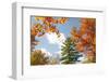 USA, Vermont, Fall foliage in Morrisville on Jopson Lane-Alison Jones-Framed Photographic Print