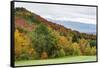 USA, Vermont, Fall foliage on Mount Mansfield-Alison Jones-Framed Stretched Canvas