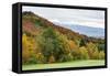 USA, Vermont, Fall foliage on Mount Mansfield-Alison Jones-Framed Stretched Canvas