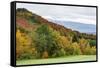 USA, Vermont, Fall foliage on Mount Mansfield-Alison Jones-Framed Stretched Canvas