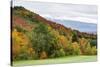 USA, Vermont, Fall foliage on Mount Mansfield-Alison Jones-Stretched Canvas