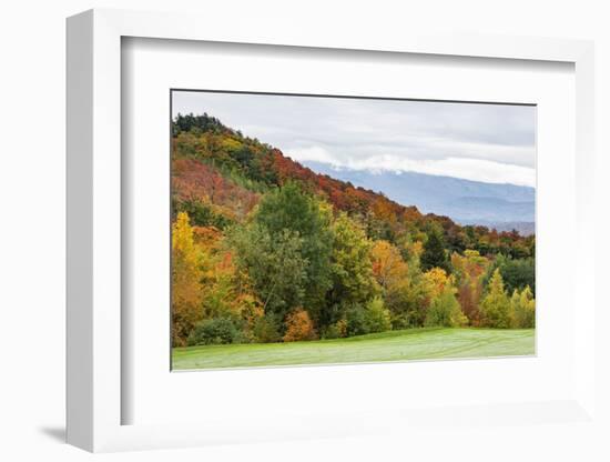 USA, Vermont, Fall foliage on Mount Mansfield-Alison Jones-Framed Photographic Print