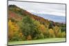 USA, Vermont, Fall foliage on Mount Mansfield-Alison Jones-Mounted Photographic Print