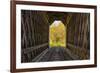 USA, Vermont, Fall foliage seen off Rt. 15, Wolcott, Fisher Covered Railroad Bridge (1908)-Alison Jones-Framed Photographic Print