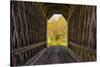 USA, Vermont, Fall foliage seen off Rt. 15, Wolcott, Fisher Covered Railroad Bridge (1908)-Alison Jones-Stretched Canvas