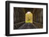 USA, Vermont, Fall foliage seen off Rt. 15, Wolcott, Fisher Covered Railroad Bridge (1908)-Alison Jones-Framed Photographic Print