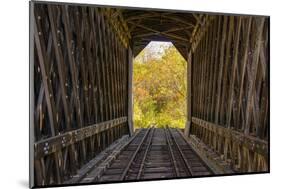 USA, Vermont, Fall foliage seen off Rt. 15, Wolcott, Fisher Covered Railroad Bridge (1908)-Alison Jones-Mounted Photographic Print