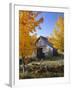 USA, Vermont, House, Old, Maple Trees, Autumn-Thonig-Framed Photographic Print