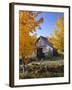 USA, Vermont, House, Old, Maple Trees, Autumn-Thonig-Framed Photographic Print