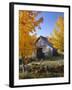 USA, Vermont, House, Old, Maple Trees, Autumn-Thonig-Framed Photographic Print