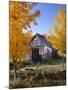 USA, Vermont, House, Old, Maple Trees, Autumn-Thonig-Mounted Photographic Print