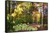 USA, Vermont, Morrisville, Jopson Lane. Fall foliage-Alison Jones-Framed Stretched Canvas