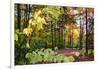 USA, Vermont, Morrisville, Jopson Lane. Fall foliage-Alison Jones-Framed Photographic Print