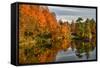 USA, Vermont, Morrisville. Lake Lamoille Reflecting Fall Foliage-Bill Bachmann-Framed Stretched Canvas