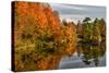 USA, Vermont, Morrisville. Lake Lamoille Reflecting Fall Foliage-Bill Bachmann-Stretched Canvas