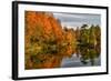 USA, Vermont, Morrisville. Lake Lamoille Reflecting Fall Foliage-Bill Bachmann-Framed Photographic Print