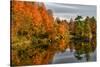 USA, Vermont, Morrisville. Lake Lamoille Reflecting Fall Foliage-Bill Bachmann-Stretched Canvas