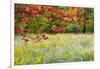 USA, Vermont, Morrisville. Lyle McKee Road, fall foliage-Alison Jones-Framed Photographic Print