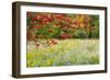 USA, Vermont, Morrisville. Lyle McKee Road, fall foliage-Alison Jones-Framed Photographic Print