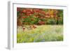 USA, Vermont, Morrisville. Lyle McKee Road, fall foliage-Alison Jones-Framed Photographic Print