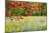 USA, Vermont, Morrisville. Lyle McKee Road, fall foliage-Alison Jones-Mounted Photographic Print