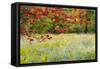 USA, Vermont, Morrisville. Lyle McKee Road, fall foliage-Alison Jones-Framed Stretched Canvas