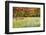 USA, Vermont, Morrisville. Lyle McKee Road, fall foliage-Alison Jones-Framed Photographic Print