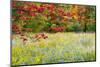 USA, Vermont, Morrisville. Lyle McKee Road, fall foliage-Alison Jones-Mounted Photographic Print
