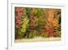 USA, Vermont, Morrisville. Lyle McKee Road, fall foliage-Alison Jones-Framed Photographic Print