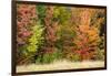 USA, Vermont, Morrisville. Lyle McKee Road, fall foliage-Alison Jones-Framed Photographic Print