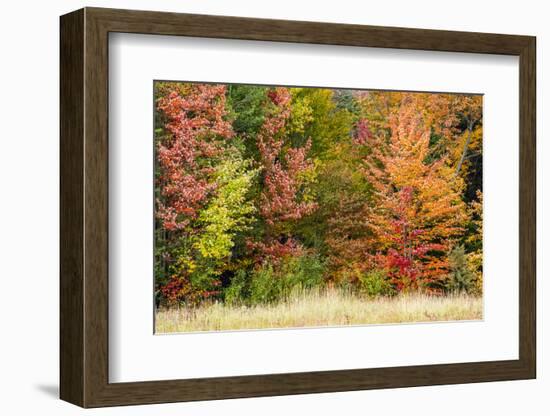 USA, Vermont, Morrisville. Lyle McKee Road, fall foliage-Alison Jones-Framed Photographic Print