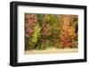 USA, Vermont, Morrisville. Lyle McKee Road, fall foliage-Alison Jones-Framed Photographic Print